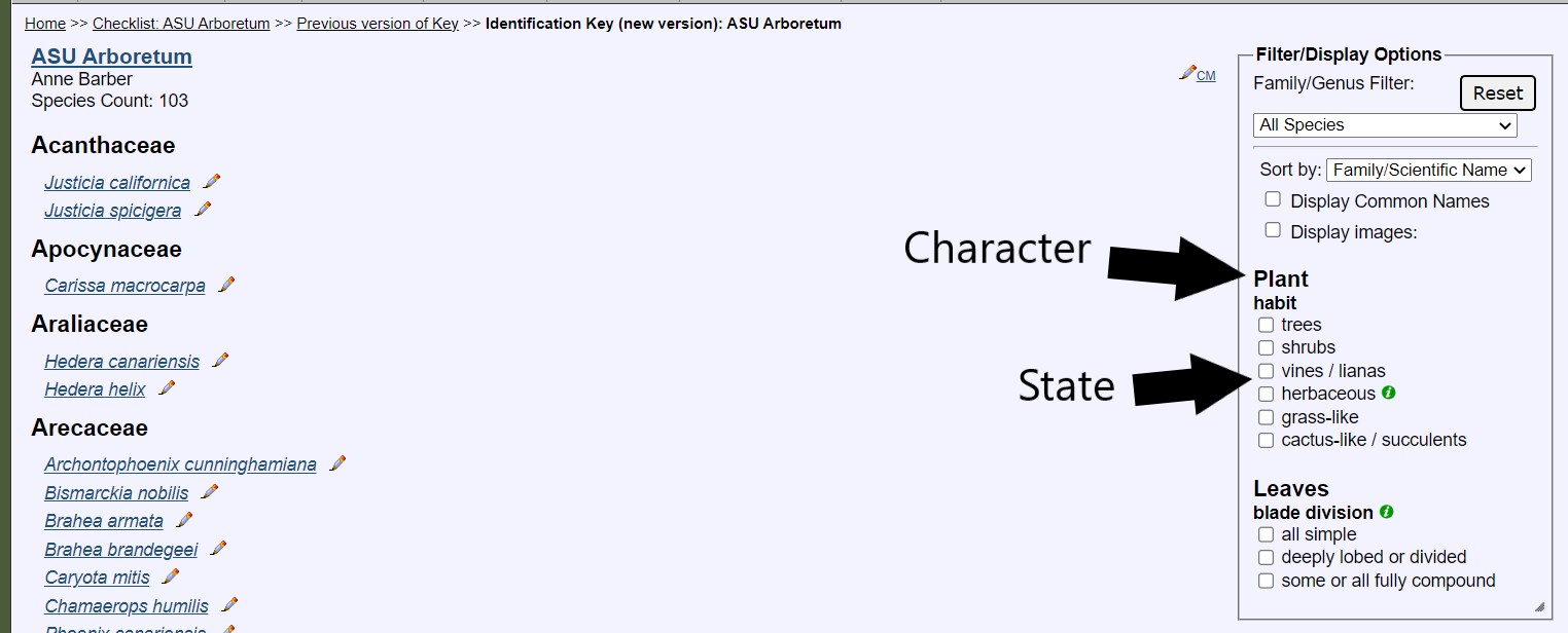 Character and Character States Example