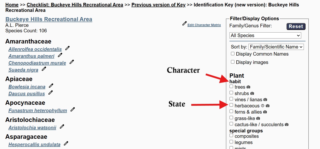 Character and Character States Example