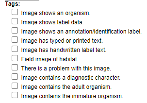 Image Tags