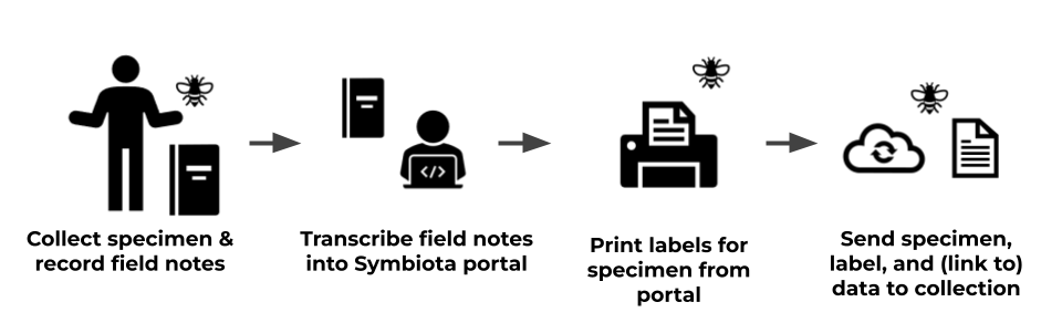 Personal Observation Profile General Workflow