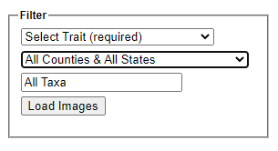 Trait Scoring Filters